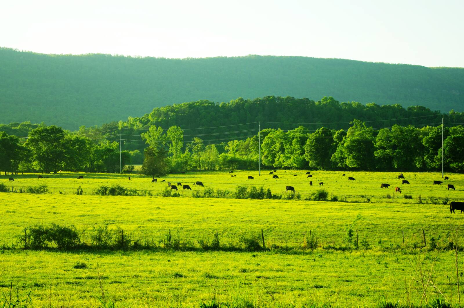 Farm fields and barn at Powells Crossroads, Tennessee